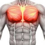 تقویت عضلات سینه با لباس EMS و ورزش ای ام اس