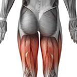 ران بند ای ام اس ایتال فیت