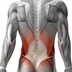 کمربند لاغری ای ام اس ایتال فیت تقویت پشت کمر