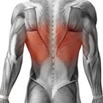 تاثیر کمربند EMS بر عضلات پشت کمر