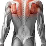 شانه بند EMS ایتال فیت